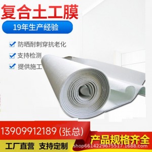 复合防渗土工膜防水板公路隧道养护垃圾场养殖池塘水库护坡防水布