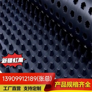 高密度聚乙烯塑料防护排水板厂家 塑料凸片排水板层凸点排水板