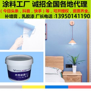 【一件代发】乳胶漆室内家用环保内墙白色彩色小桶翻新自刷墙涂料