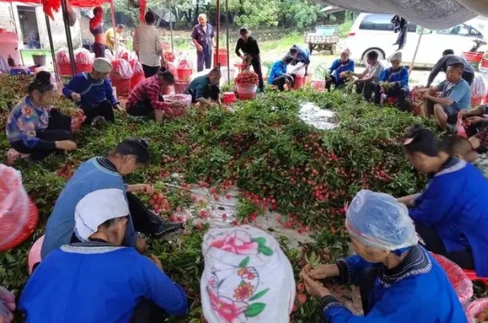 微信截图_20240624125217