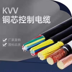 计算机电缆/仪表屏蔽电缆,防干扰仪器仪表DJYVP/KVVP/DJYJPVP