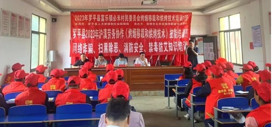 微信截图_20241023164349