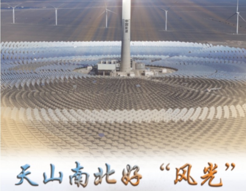 微信截图_20241220140649
