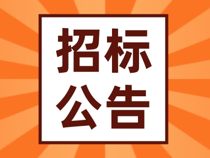 华润水泥(上思)有限公司2025年度/2月-上思水泥-钢材-公开询比价公告