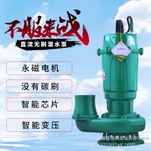 3寸无刷直流潜水泵48V60V通用电瓶车电动车水泵家用农用抽水机