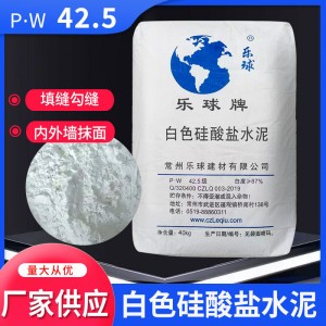 P.W42.5白色硅酸盐水泥32.5正宗白水泥填缝墙面修补建筑水泥40kg