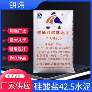 普通硅酸盐水泥po42.5大学试验天山水泥修补漏洞快干硬早强水泥