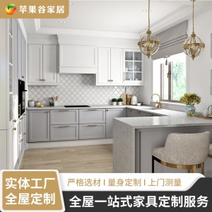 可可西里简欧风格橱柜 全屋设计开放式整体橱柜 单色石英 石柜台
